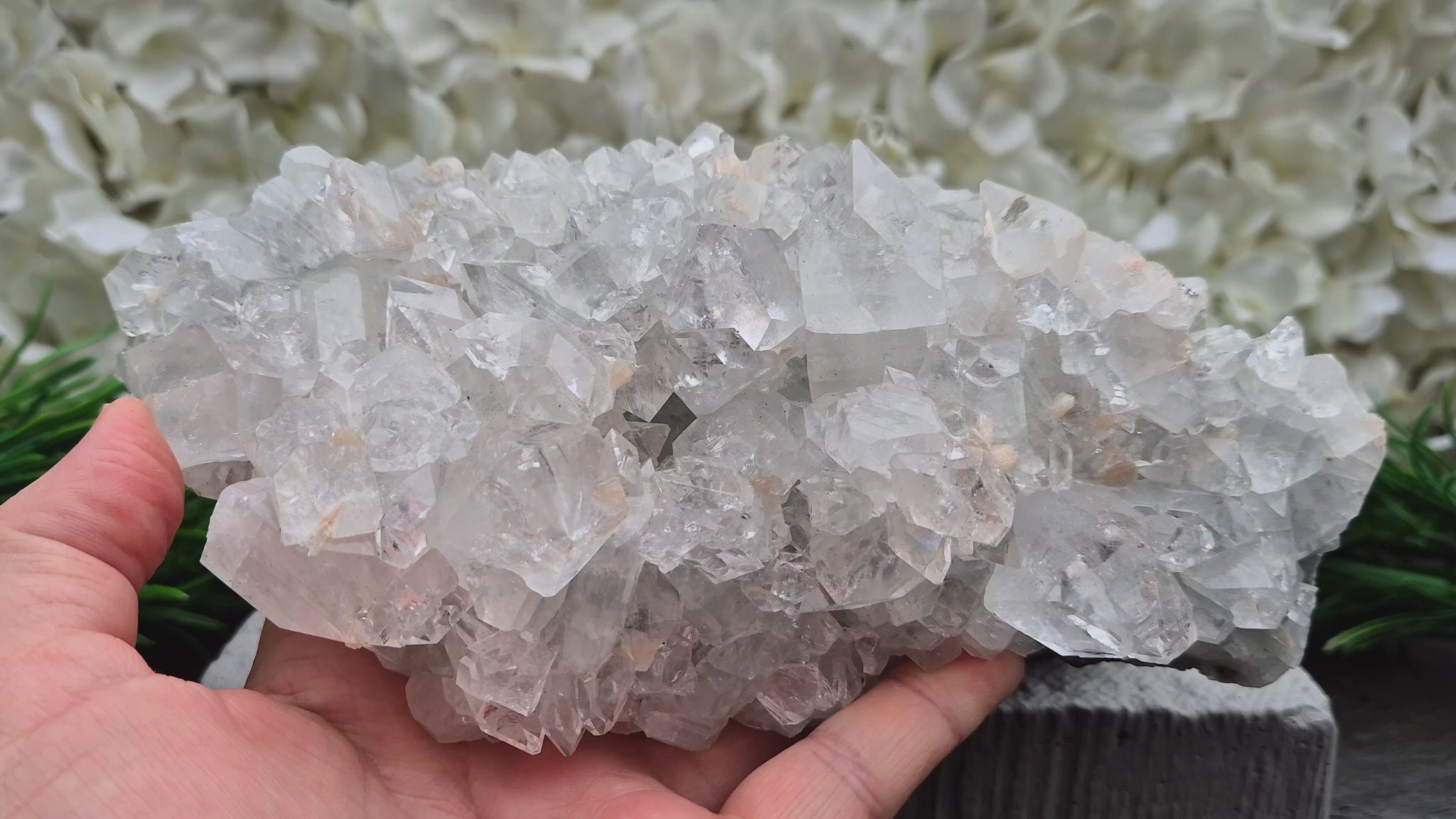 Natural Apophyllite crystal cluster from India, known for its calm, uplifting presence. A beautiful display piece often chosen for reflection and spiritual spaces.