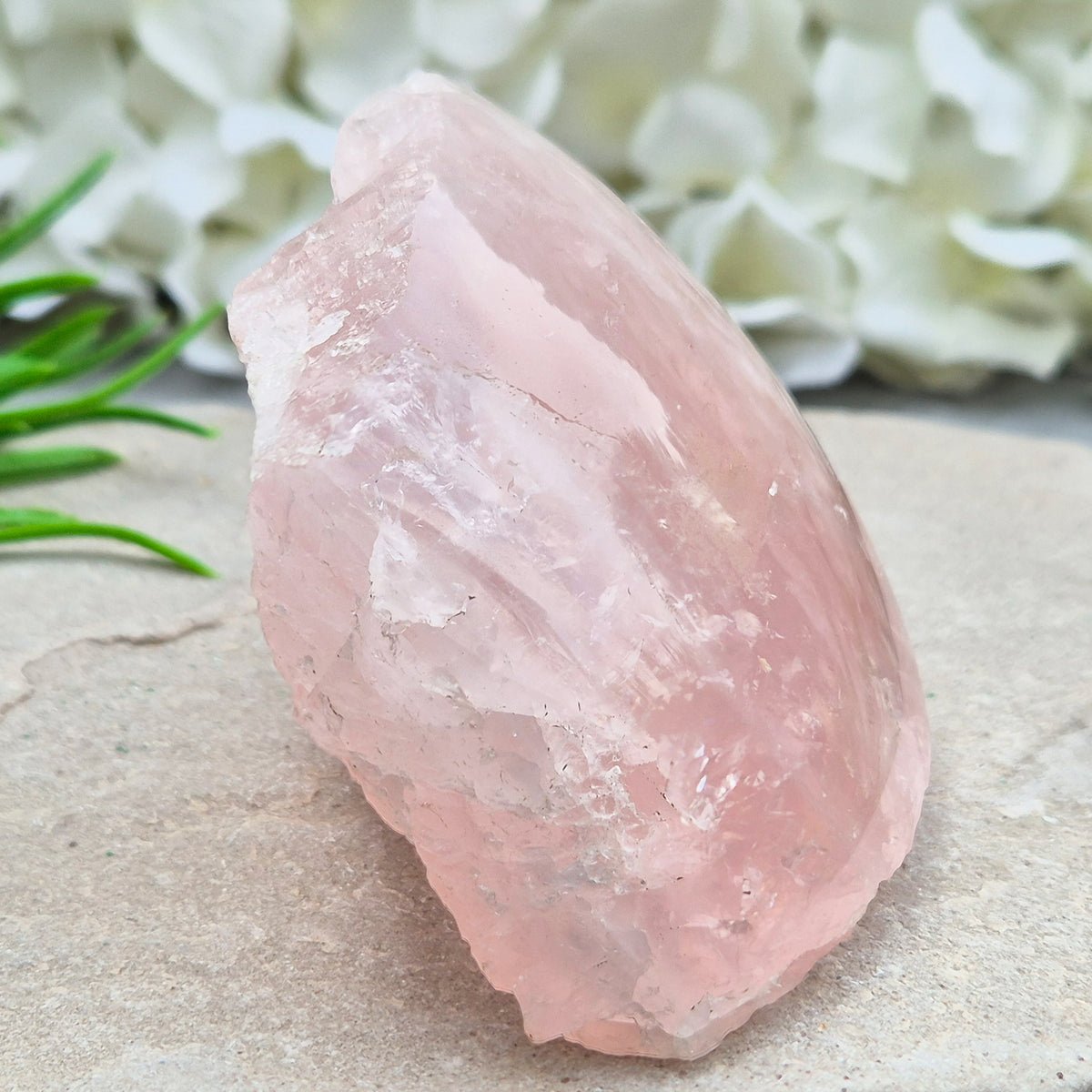 Rose Quartz upright freeform display piece with polished edge. Natural pink crystal mineral specimen for calming decor and gentle emotional support.