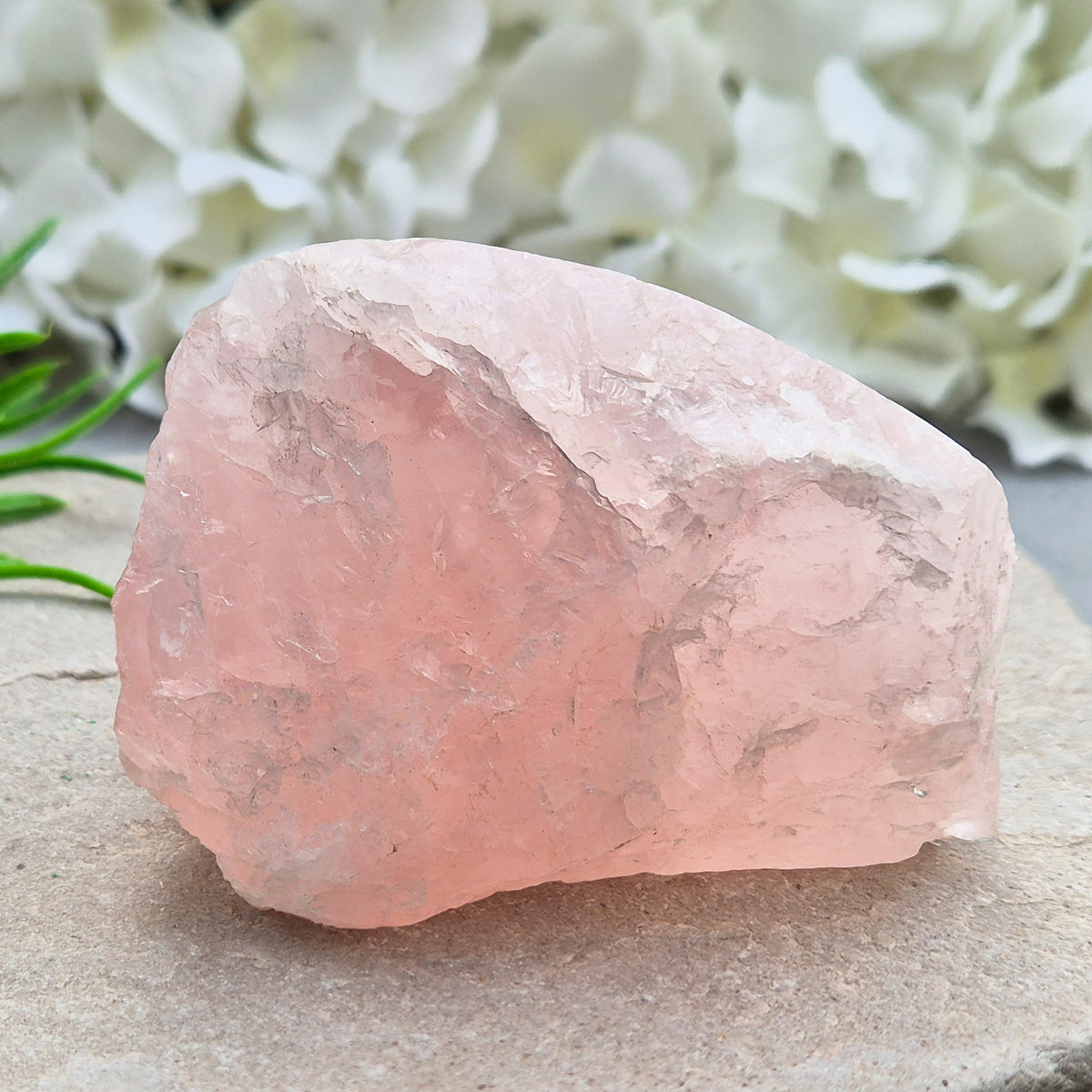 Rose Quartz upright freeform display piece with polished edge. Natural pink crystal mineral specimen for calming decor and gentle emotional support.