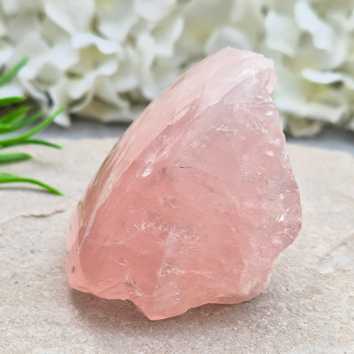 Rose Quartz upright freeform display piece with polished edge. Natural pink crystal mineral specimen for calming decor and gentle emotional support.