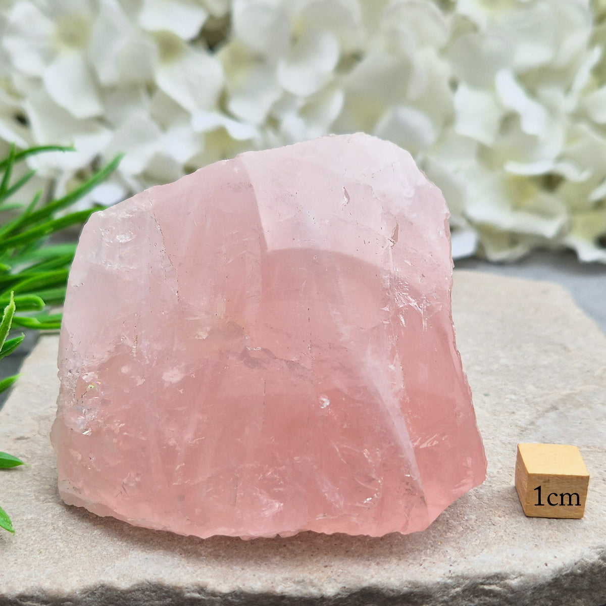 Rose Quartz upright freeform display piece with polished edge. Natural pink crystal mineral specimen for calming decor and gentle emotional support.