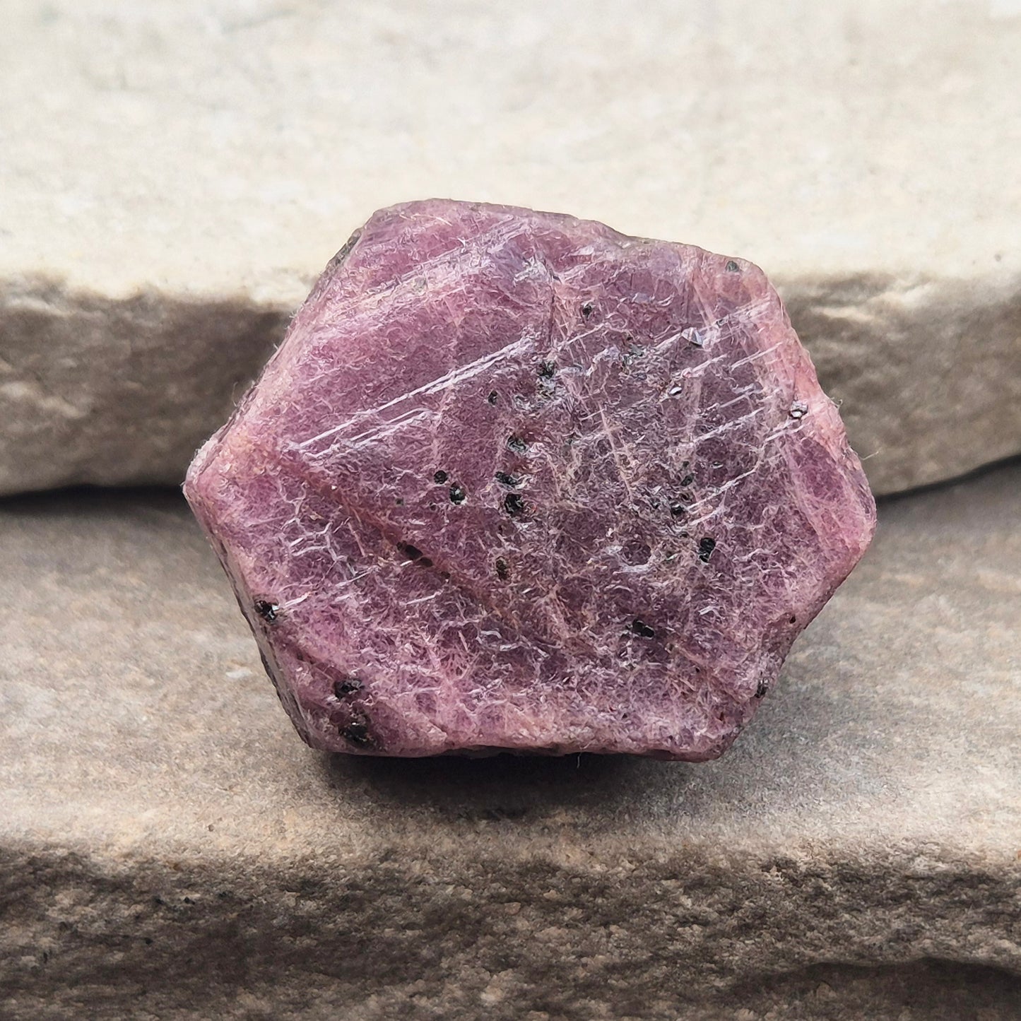 Rare Ruby Record Keeper with natural triangle markings. A deep healing stone for intuition, past life insight, courage, and soul truth.