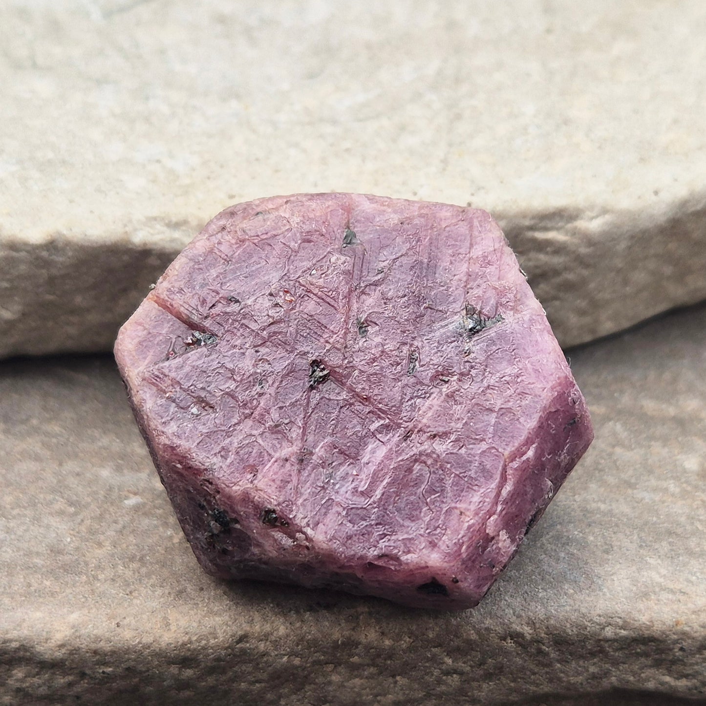 Rare Ruby Record Keeper with natural triangle markings. A deep healing stone for intuition, past life insight, courage, and soul truth.