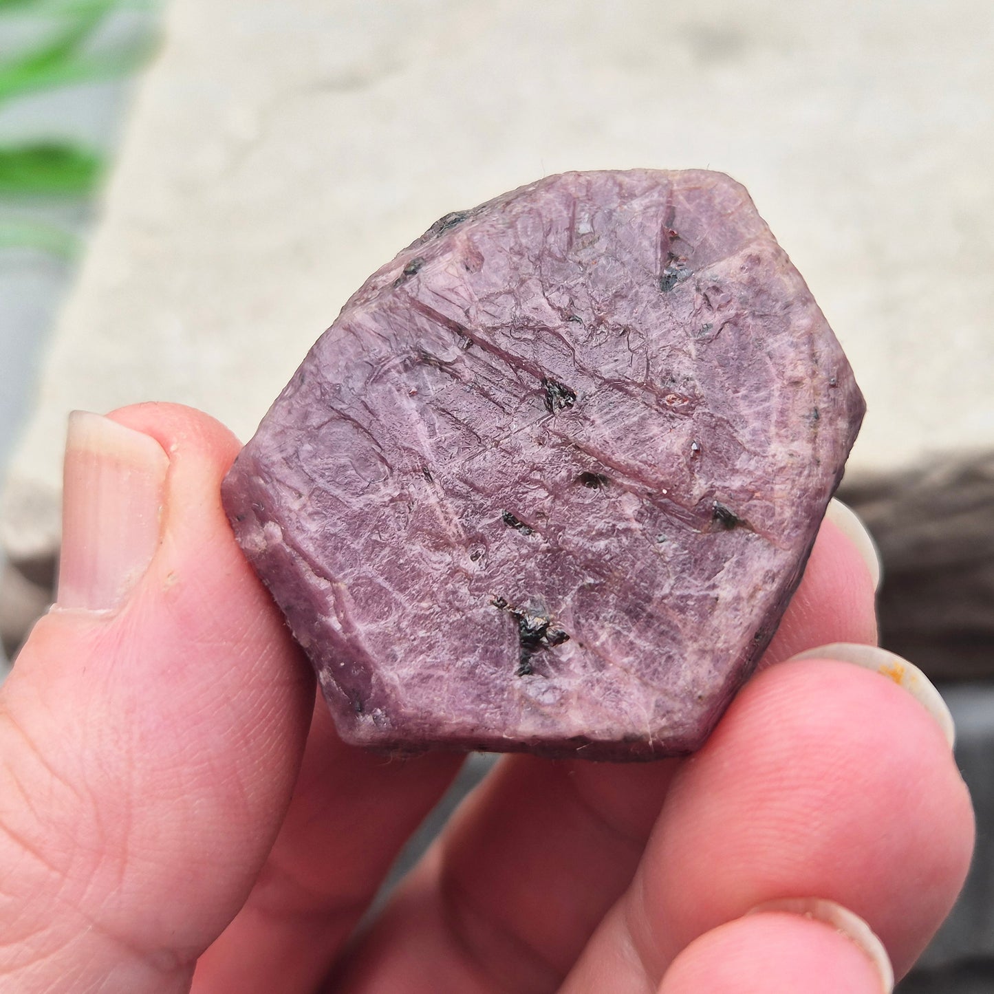 Rare Ruby Record Keeper with natural triangle markings. A deep healing stone for intuition, past life insight, courage, and soul truth.