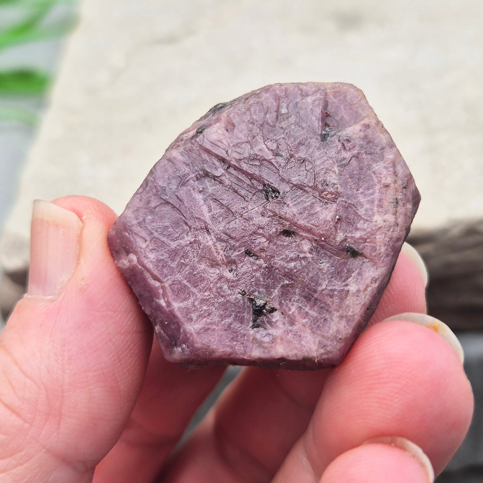 Rare Ruby Record Keeper with natural triangle markings. A deep healing stone for intuition, past life insight, courage, and soul truth.