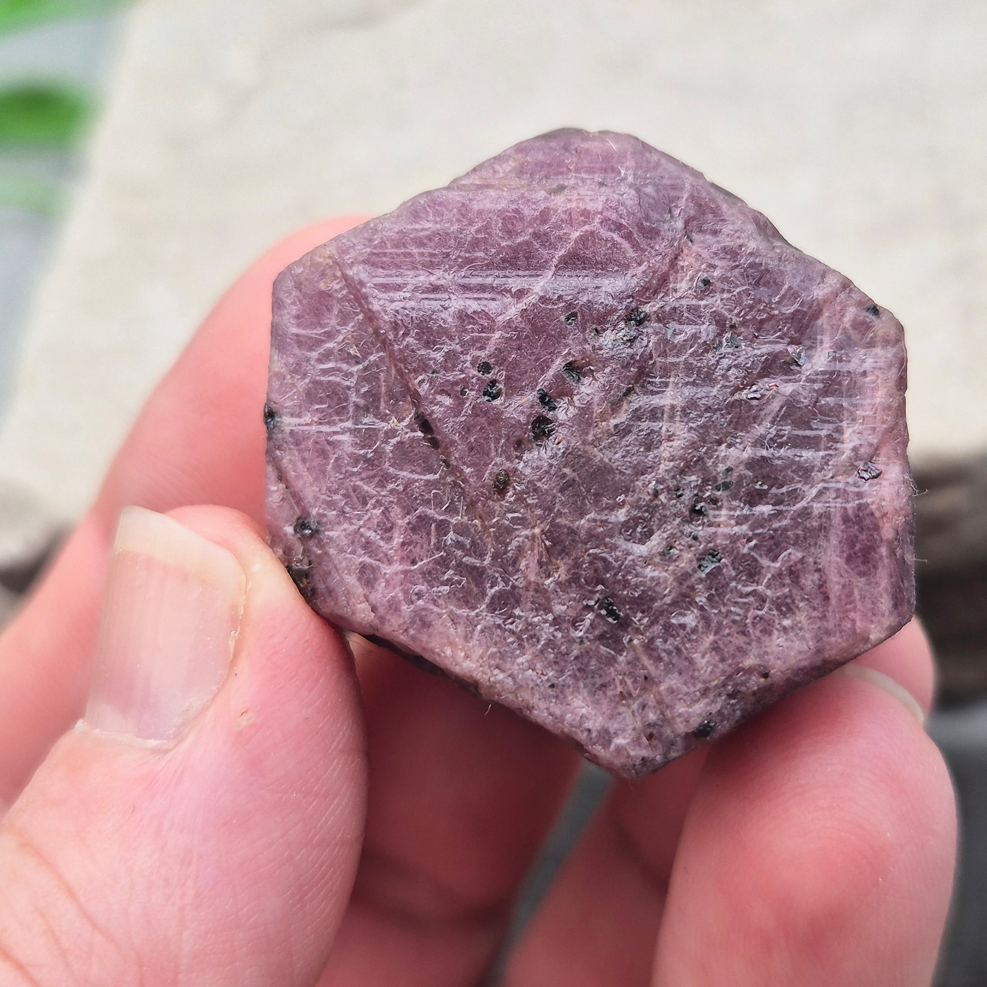 Rare Ruby Record Keeper with natural triangle markings. A deep healing stone for intuition, past life insight, courage, and soul truth.