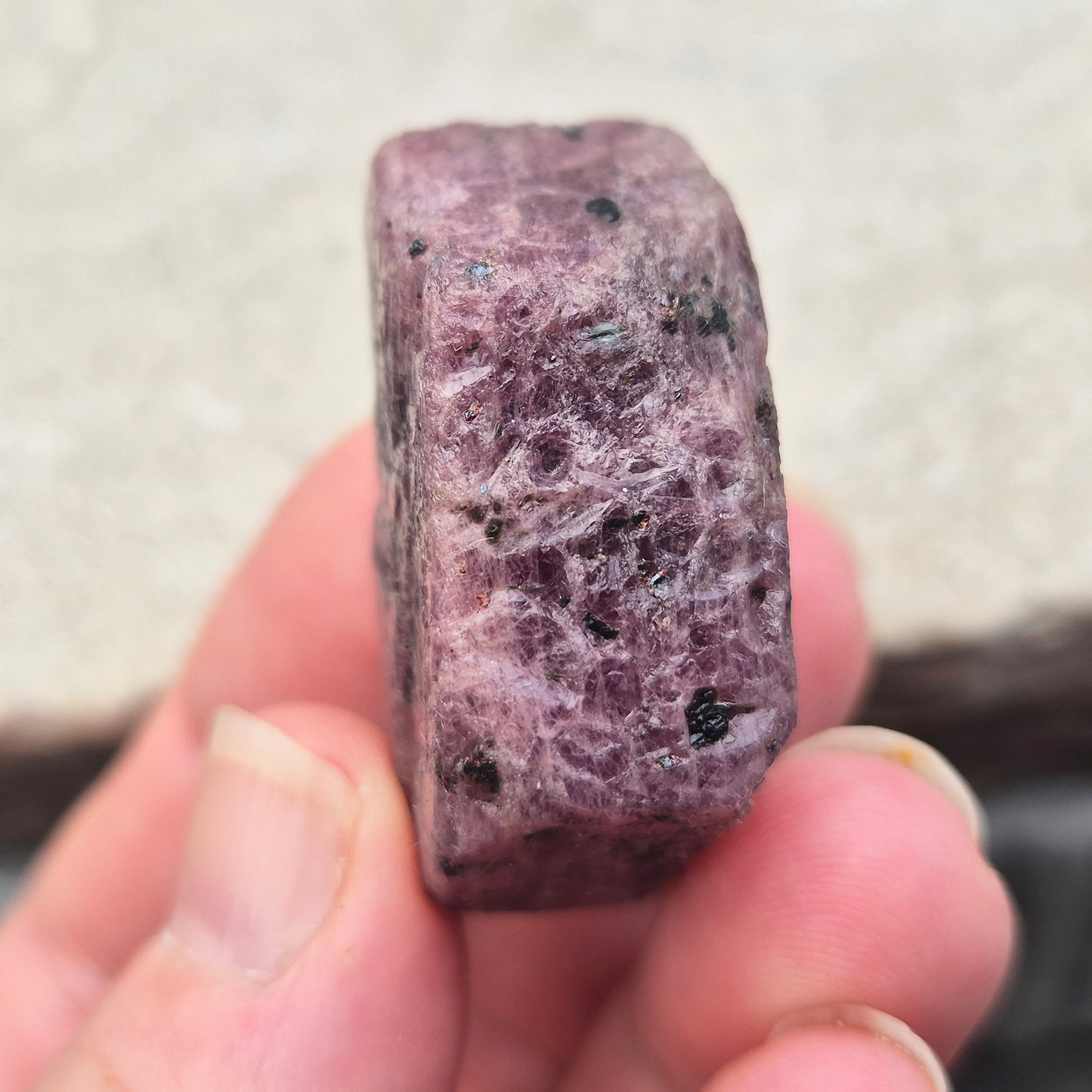 Rare Ruby Record Keeper with natural triangle markings. A deep healing stone for intuition, past life insight, courage, and soul truth.