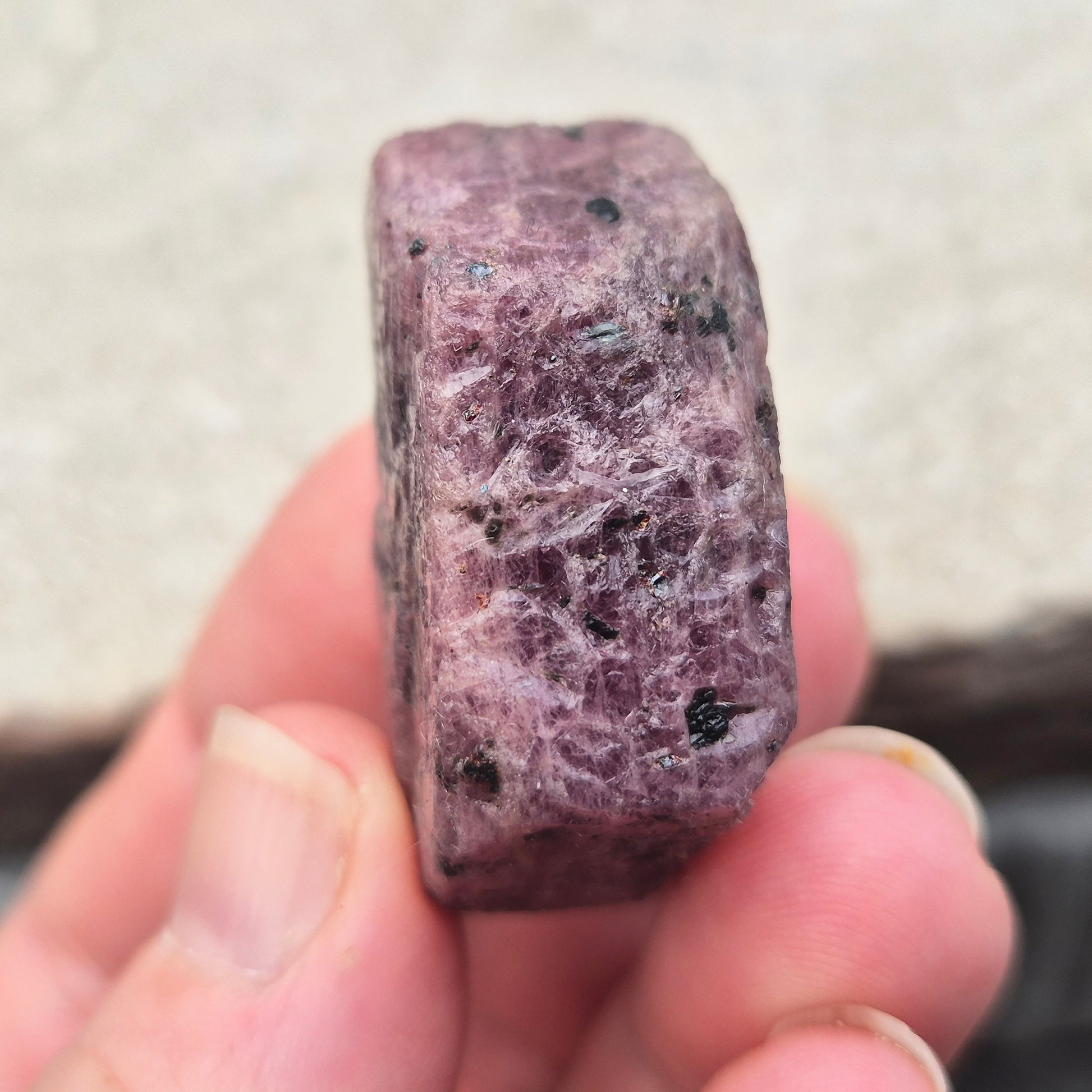 Rare Ruby Record Keeper with natural triangle markings. A deep healing stone for intuition, past life insight, courage, and soul truth.