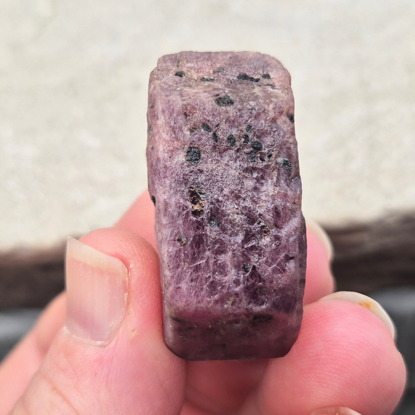 Rare Ruby Record Keeper with natural triangle markings. A deep healing stone for intuition, past life insight, courage, and soul truth.