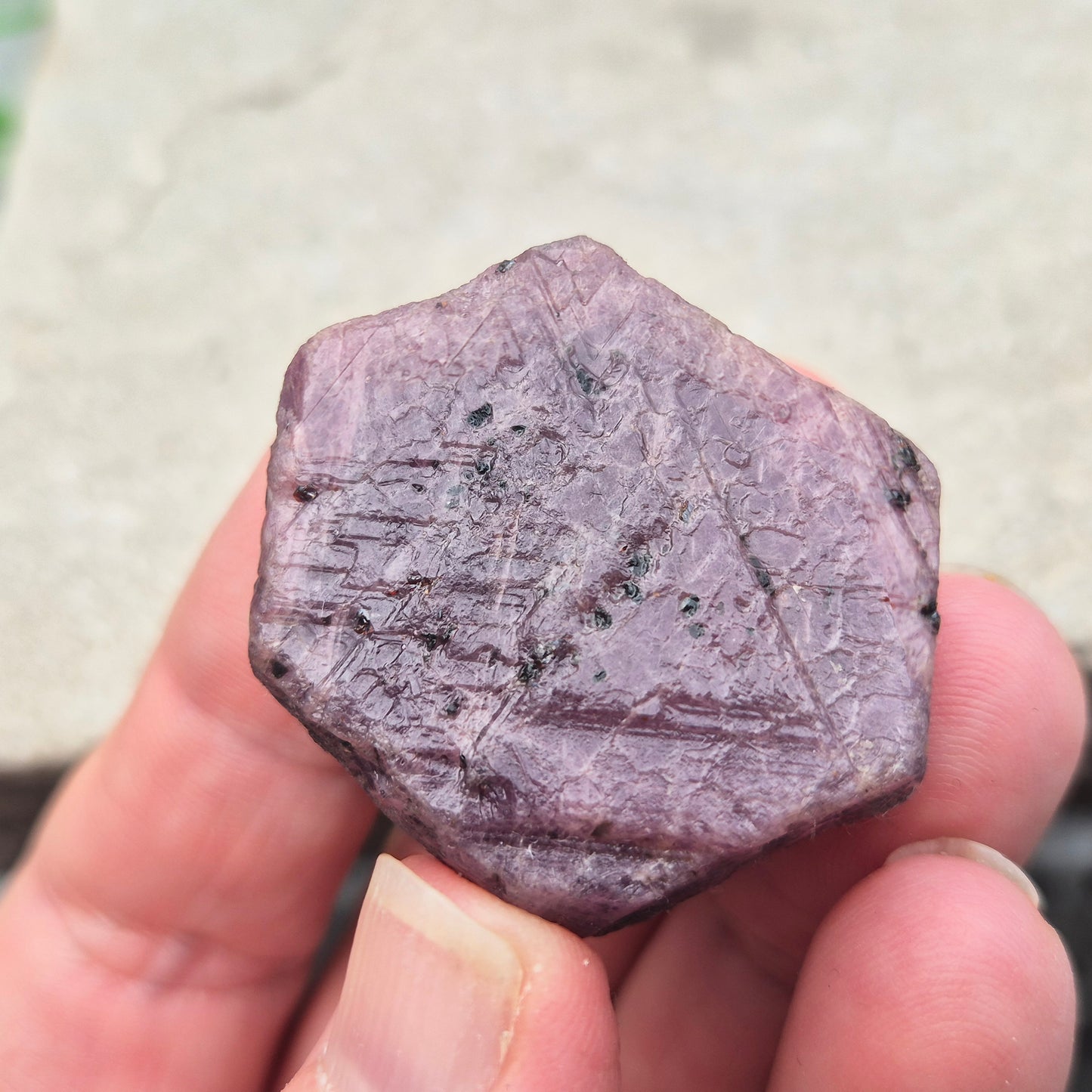 Rare Ruby Record Keeper with natural triangle markings. A deep healing stone for intuition, past life insight, courage, and soul truth.