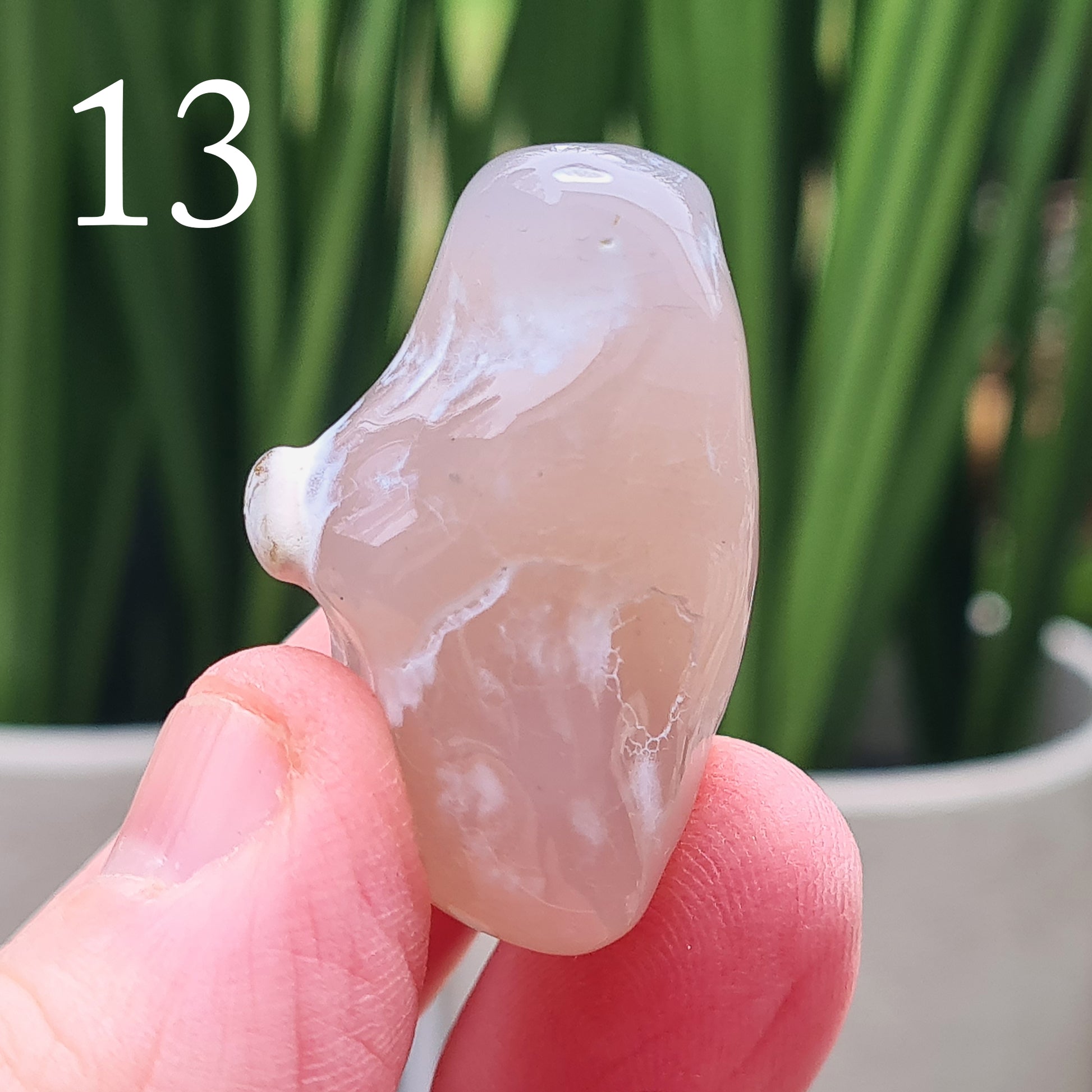 Rare natural Snakeskin Agate crystal with unique natural markings. Grounding, calming stone for self-acceptance and everyday balance.