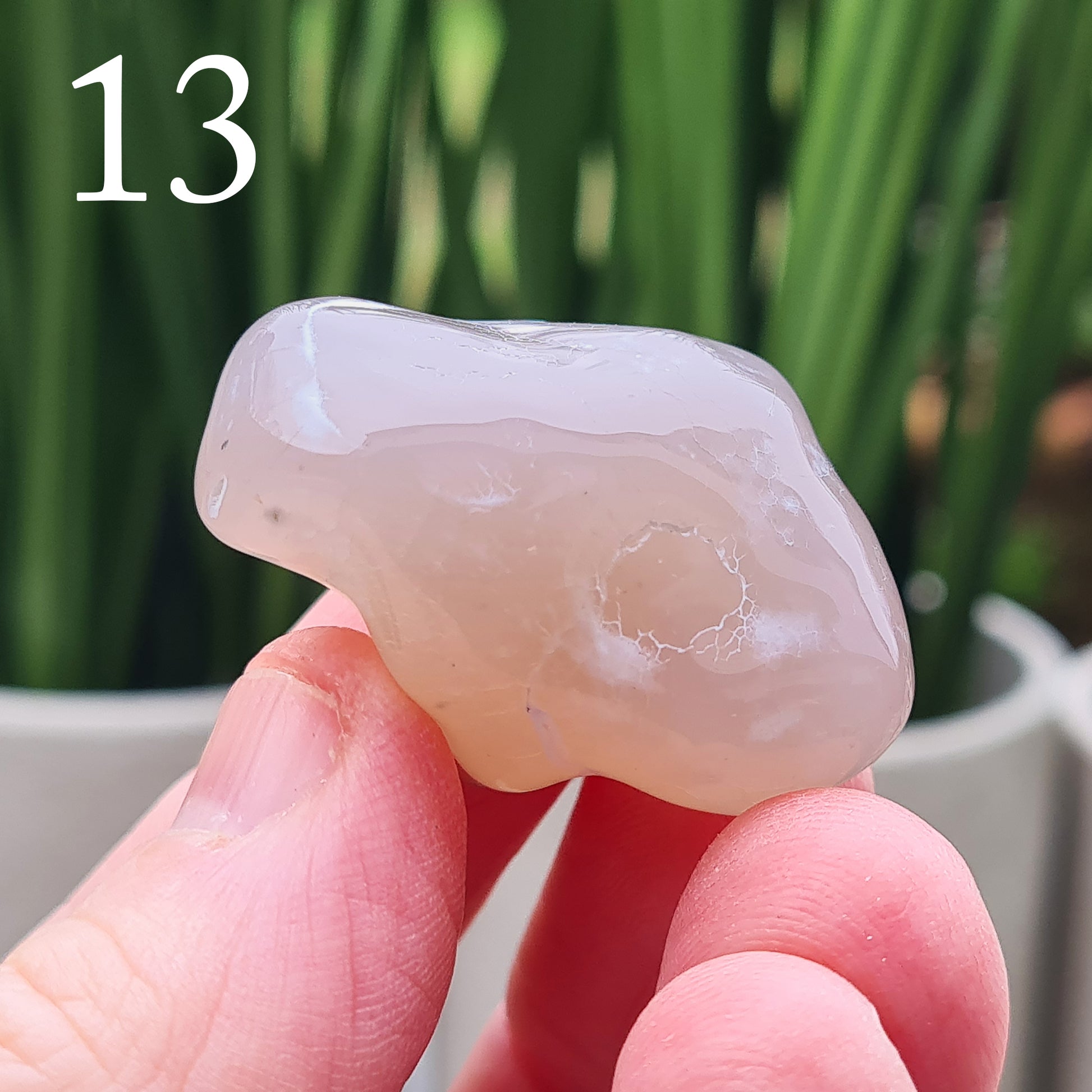 Rare natural Snakeskin Agate crystal with unique natural markings. Grounding, calming stone for self-acceptance and everyday balance.