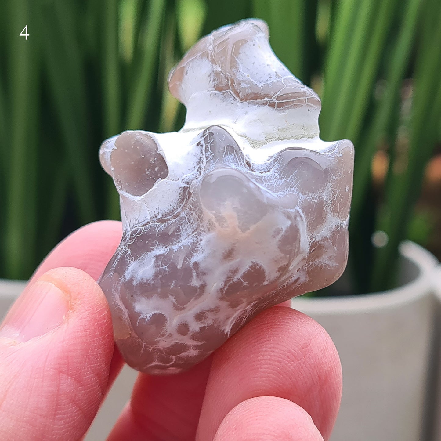 Rare natural Snakeskin Agate crystal with unique natural markings. Grounding, calming stone for self-acceptance and everyday balance.