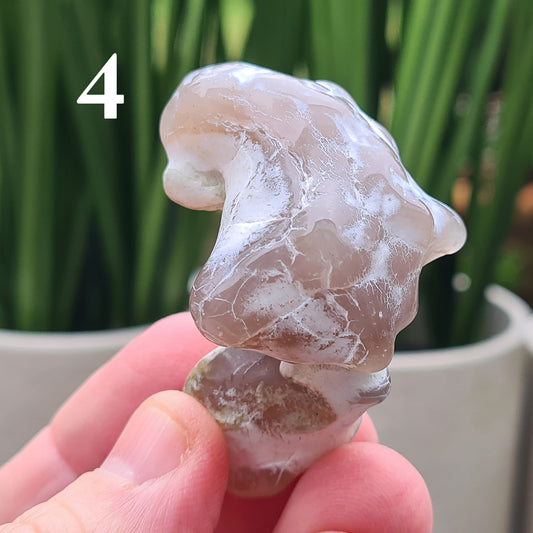 Rare natural Snakeskin Agate crystal with unique natural markings. Grounding, calming stone for self-acceptance and everyday balance.