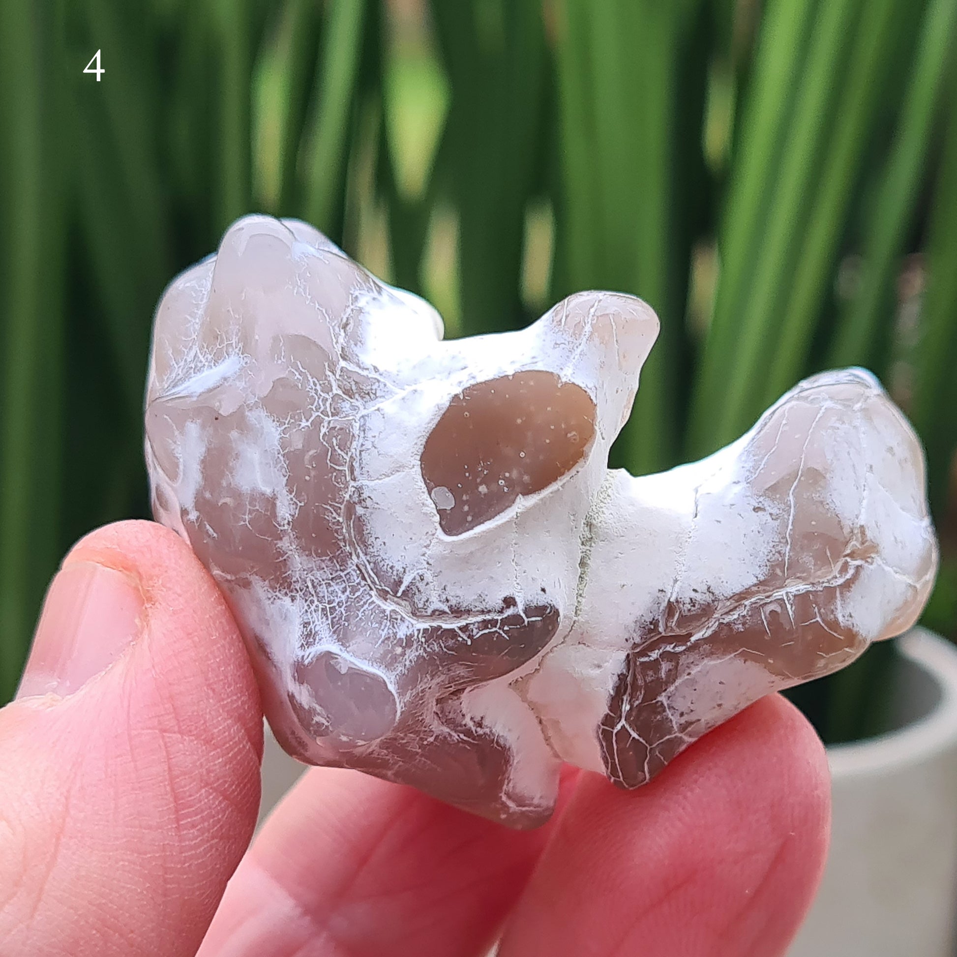 Rare natural Snakeskin Agate crystal with unique natural markings. Grounding, calming stone for self-acceptance and everyday balance.