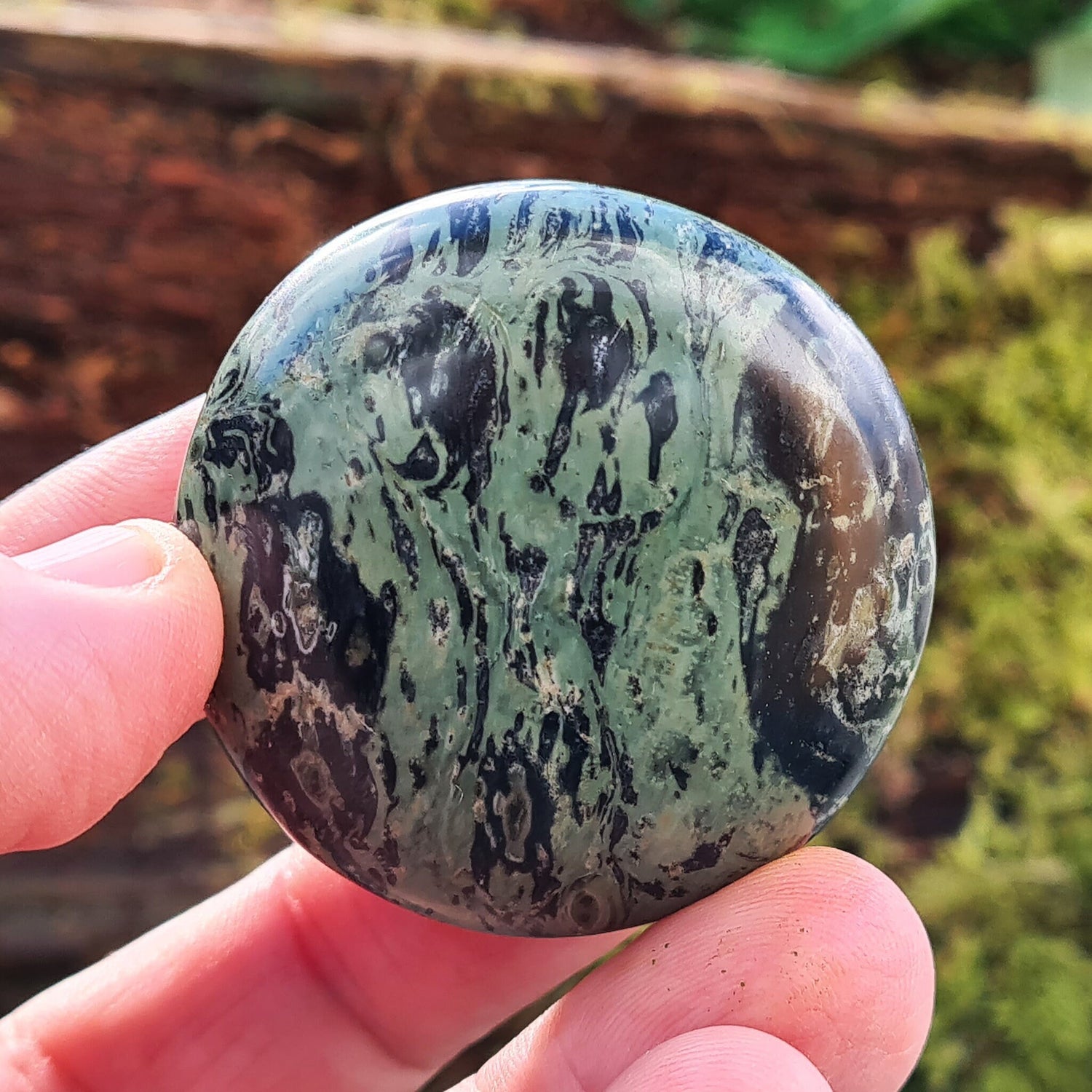 Kambaba Jasper Palm Stone also known as Crocodile Jasper, Green Stromatolite. From Madagascar. Stromatolites are some of the oldest fossils in the world, about 3 billion years old, and they are created by a blue-green algae.