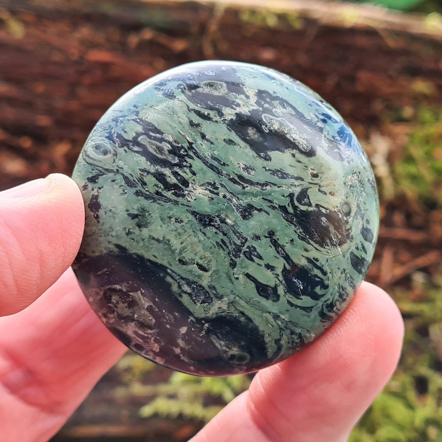 Kambaba Jasper Palm Stone also known as Crocodile Jasper, Green Stromatolite. From Madagascar. Stromatolites are some of the oldest fossils in the world, about 3 billion years old, and they are created by a blue-green algae.