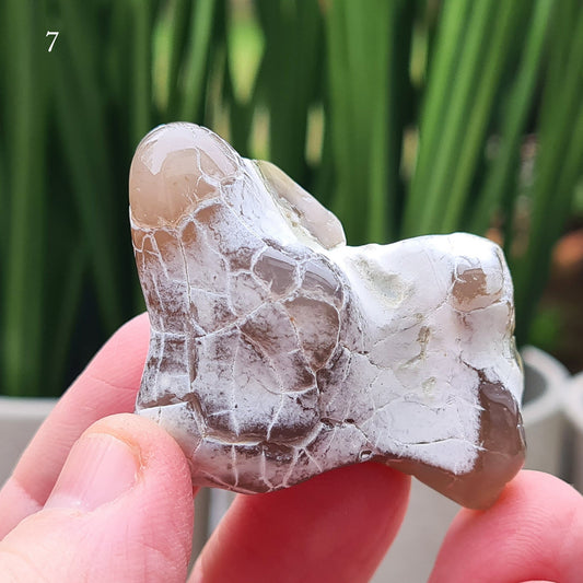 Snakeskin Agate from Oregon, USA. This is an unusual and rare semi-translucent Agate, whose markings make it look like the skin of a snake.