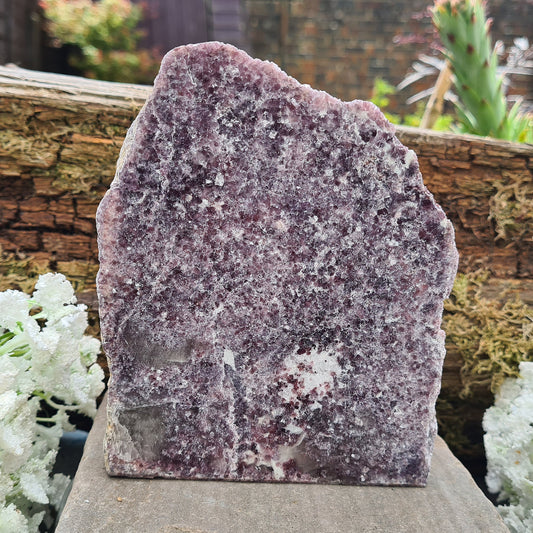 Lepidolite Standing Freeform. The front is polished and the back is left natural. Whole piece sparkles in the light.