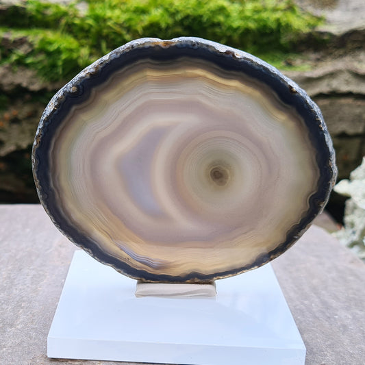 Agate Slice from Brazil, with stunning patterning and colouring. The edges have been left natural, the rest of the slice is polished. Stand not included.
