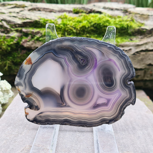 Explore this mesmerizing Brazilian Agate Slice at Elysian Crystals. Embrace grounding, balance, and soothing benefits. Enhance concentration, self-confidence, and love. Transform your space with this fabulous home decor piece.