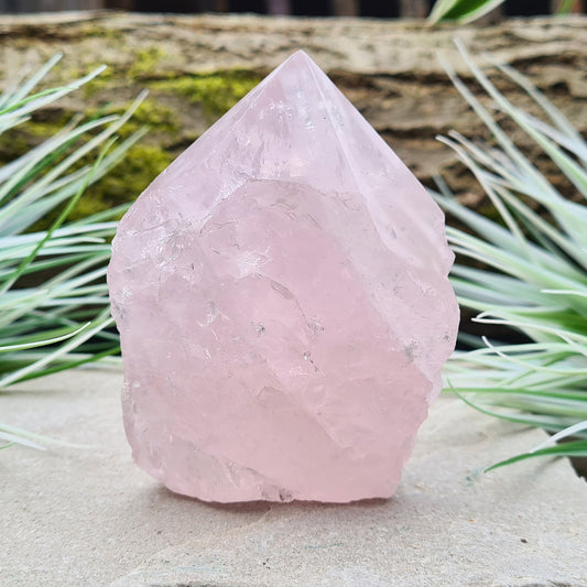 elysian crystals. Rose Quartz Polished point from Brazil. This rose quartz is a lovely pale pink colour. Point is polished, base is cut flat and polished, rest of the crystal is natural. 